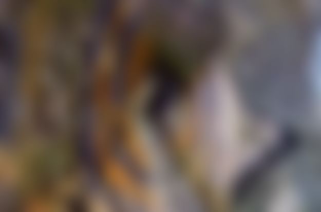 আসানসোল-রানিগঞ্জে ‘ইঁদুরগর্ত’ খনিই বিপদের কারণ, উত্তরকাশীতে কীভাবে ছোট ছোট খোপ খোঁড়া হল